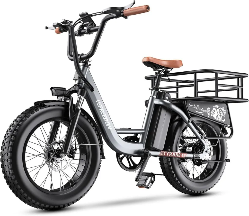 ebike for delivery