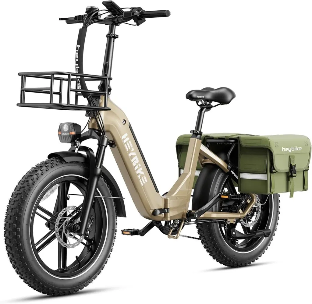 electric bike for food delivery