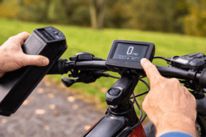 how to reset ebike display