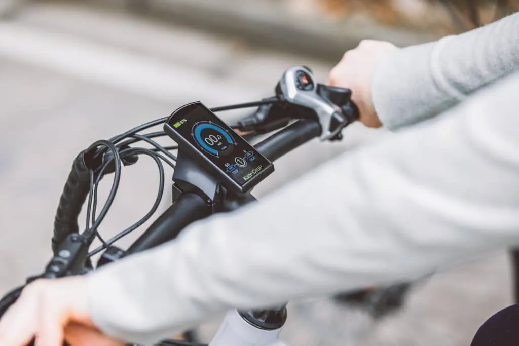 how to reset ebike controller