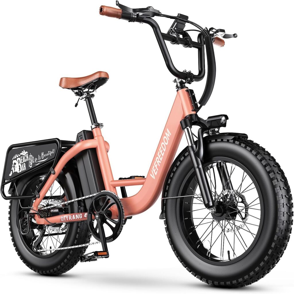 EUY Cityrang 4.0 Step-Thru Electric Bike