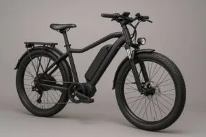 how fast does a 48v electric bike go
