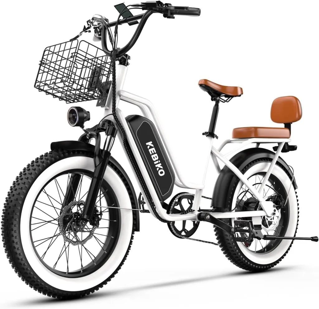 best e-bike with a passenger seat