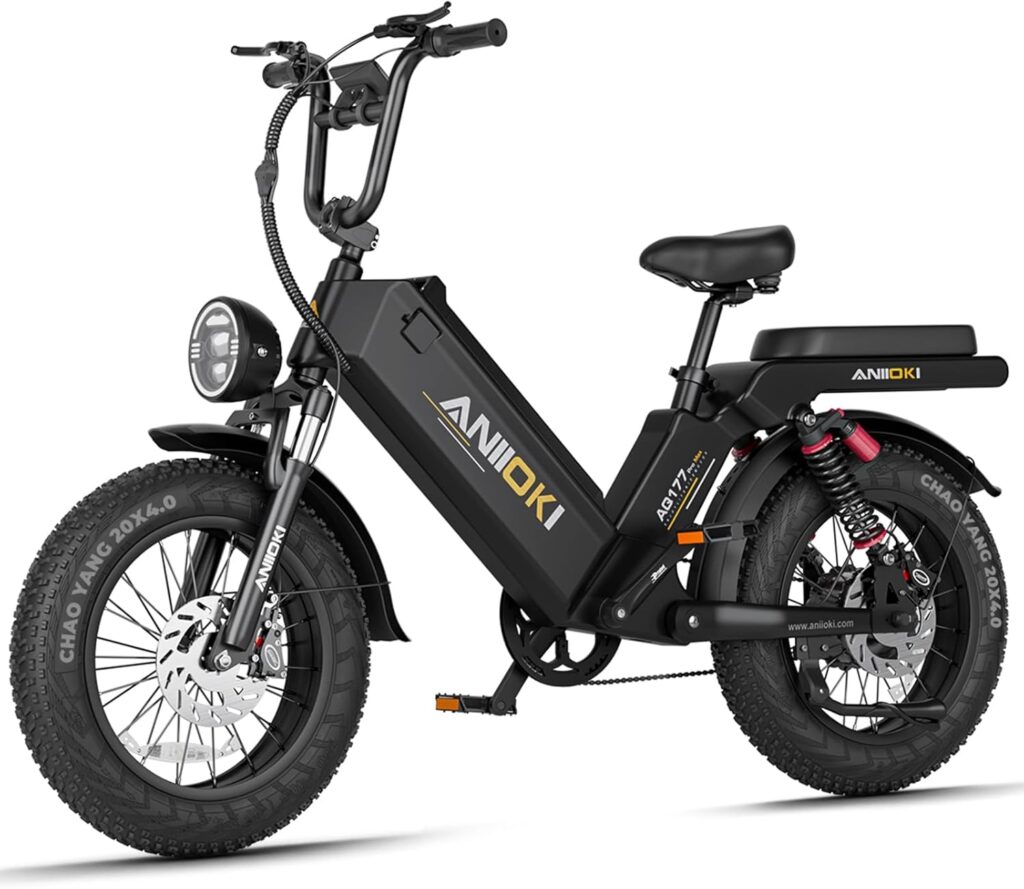 long range 2 seater e-bike