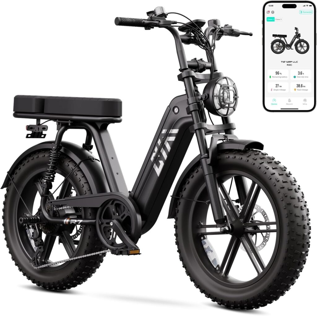 heavy duty 2 seater e-bike