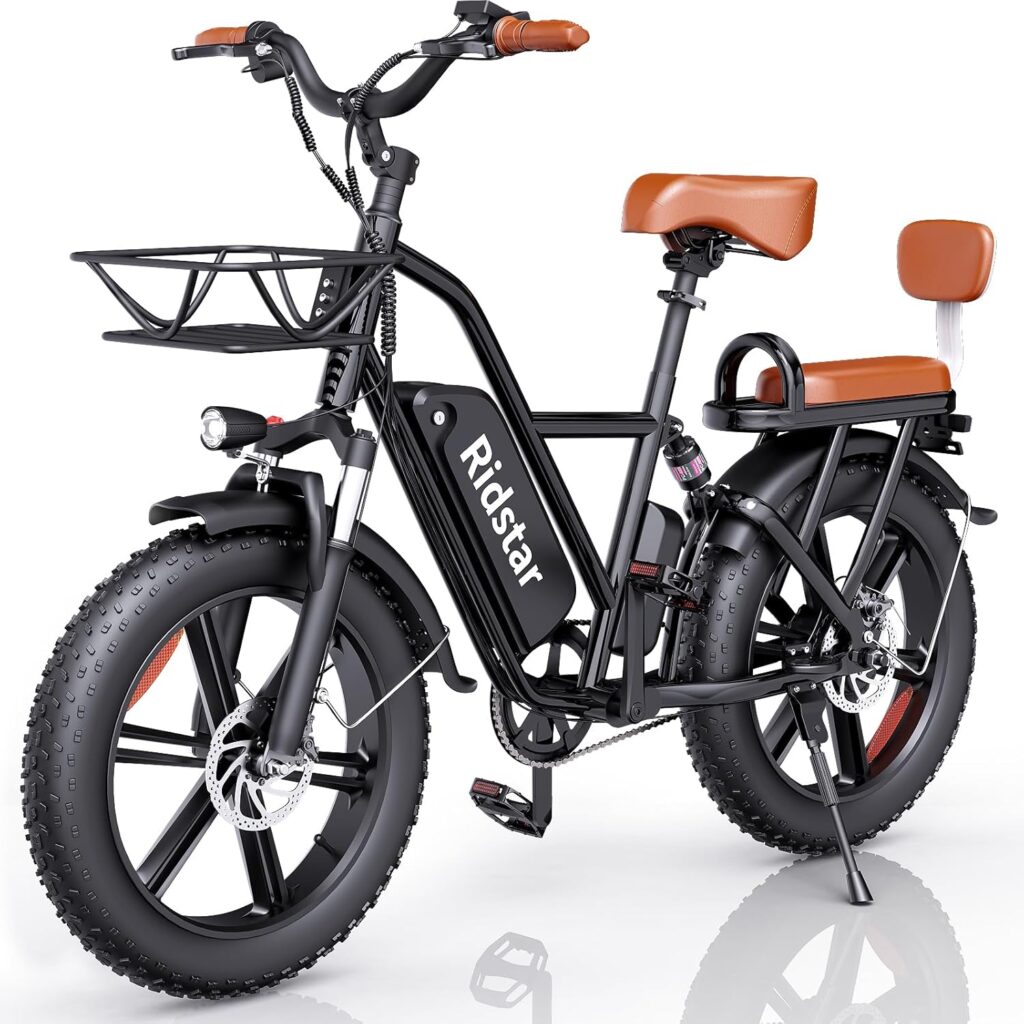 best e-bike with a passenger seat