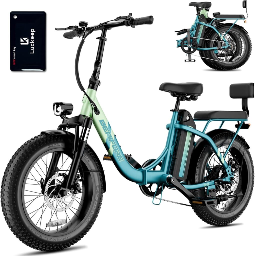 2 seater e-bike