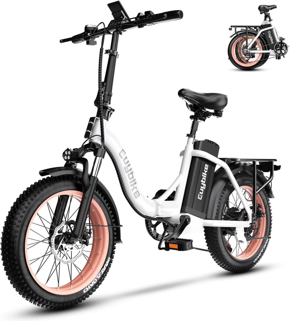 folding e-bike