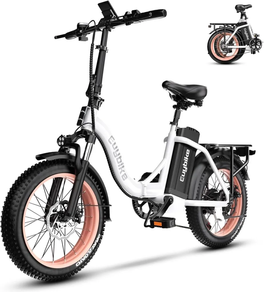 folding e-bike