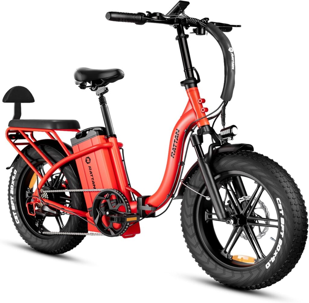 electric bike with child seat