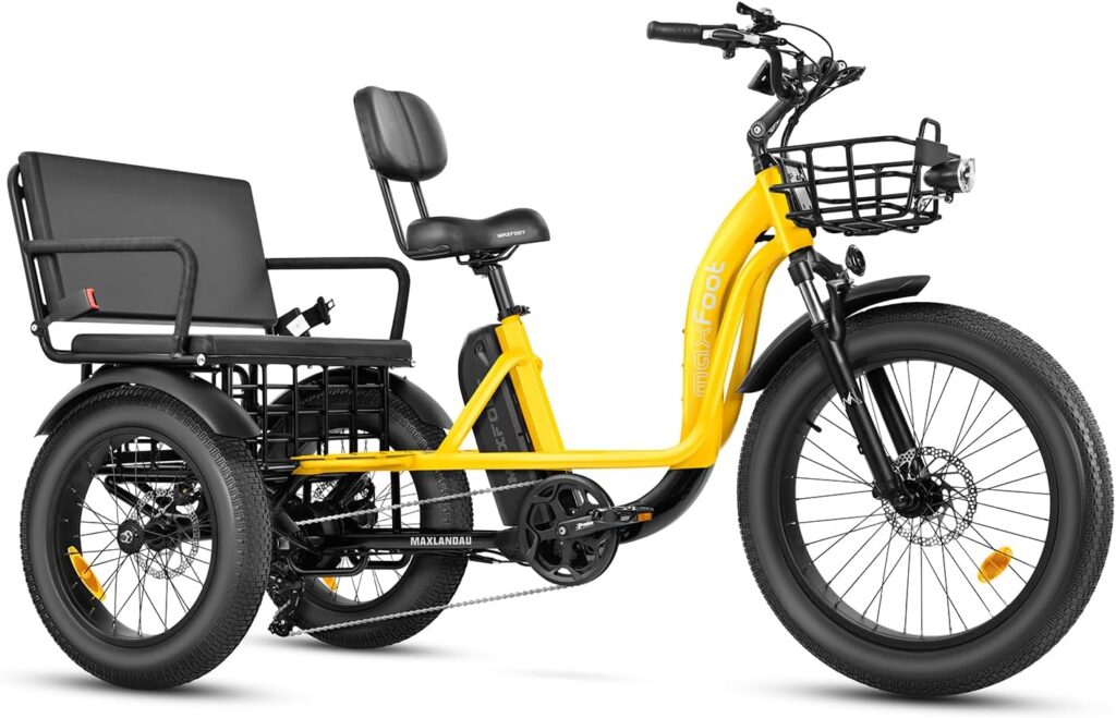 best trike with kid seat