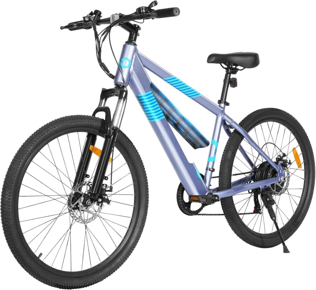 multijoy electric bike