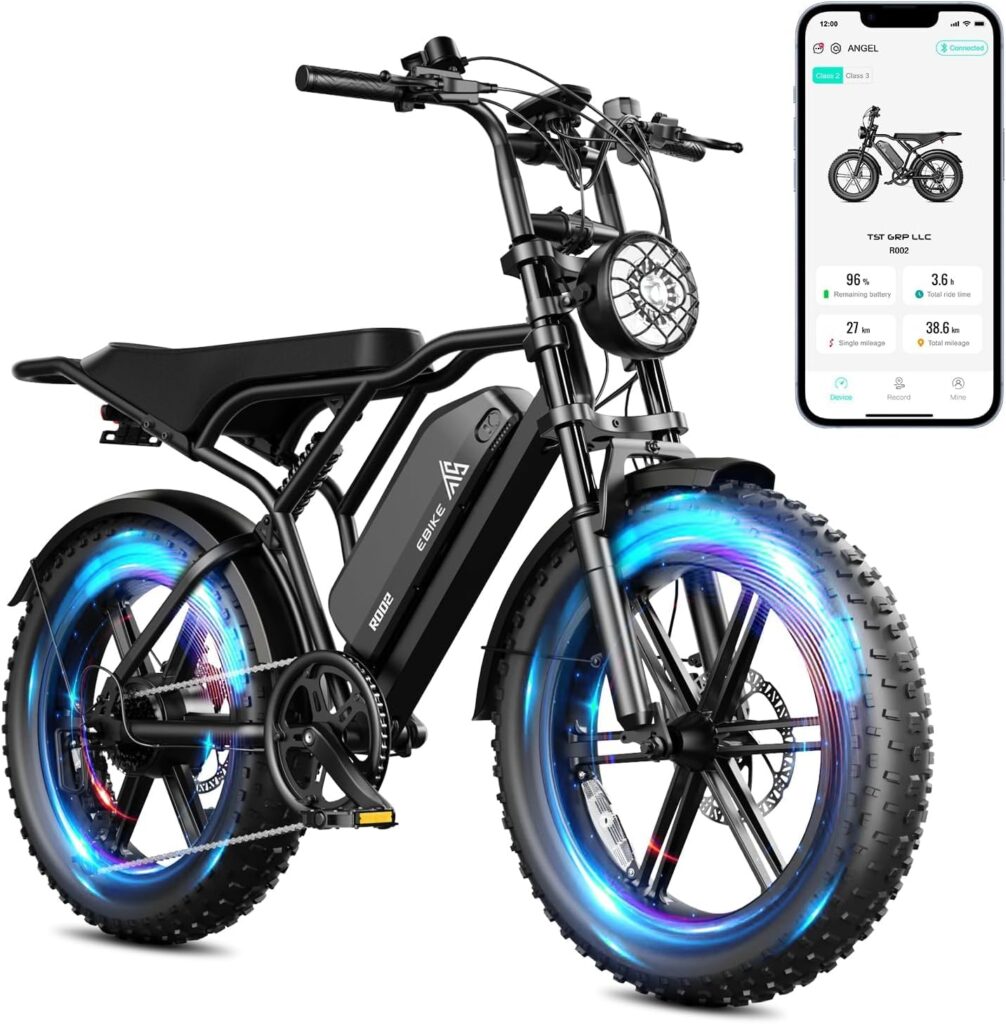 best budget friendly fat tire e-bike