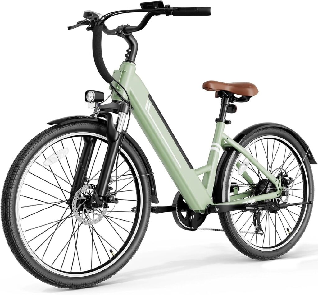 jasion 750w ebike