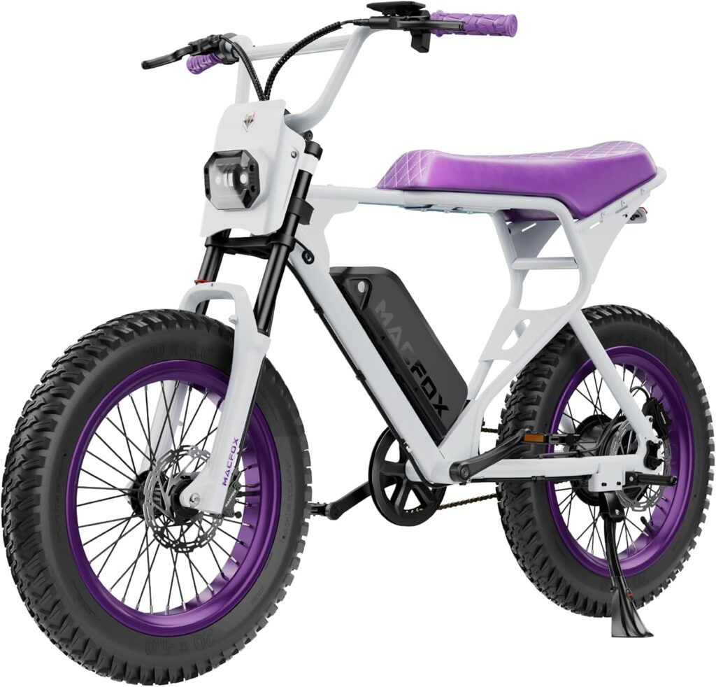 750w e-bike