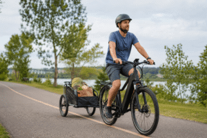 can an electric bike pull a trailer